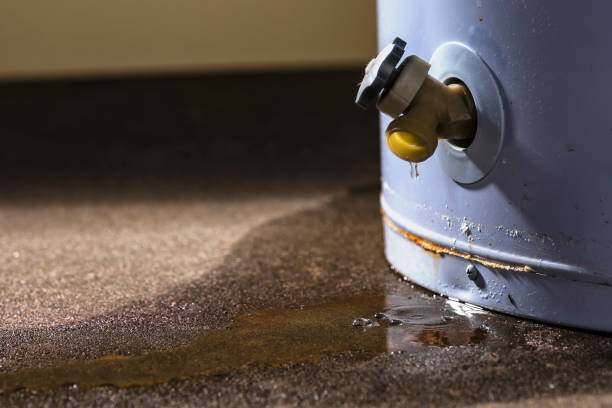 Best Sewage cleanup and water damage restoration  in New Albany, MS