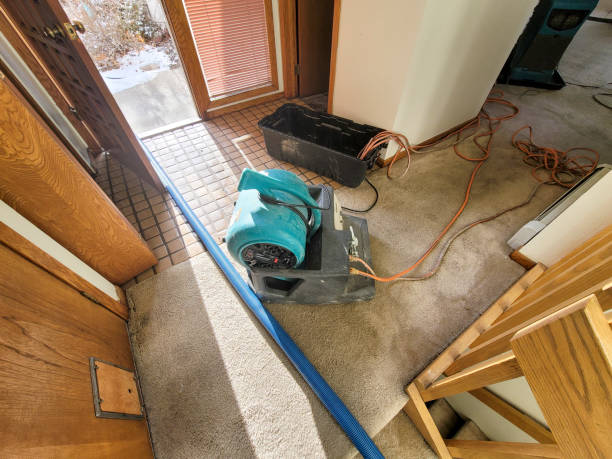 Local water damage restoration in MS