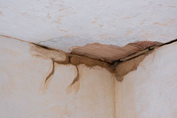 Best 24/7 water damage repair  in New Albany, MS
