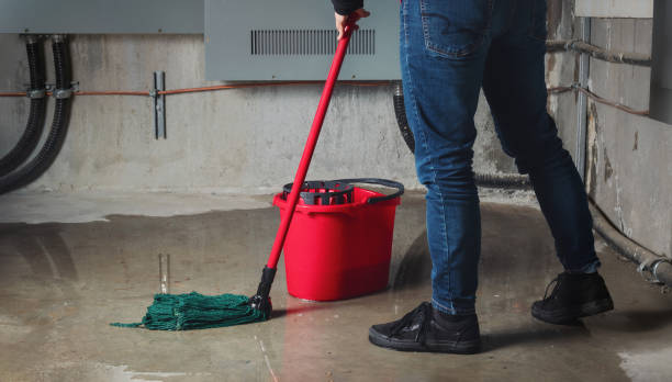 Best Carpet water damage restoration  in New Albany, MS