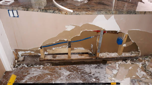 Best Water damage restoration near me  in New Albany, MS