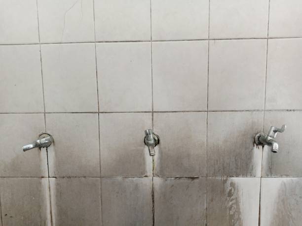 Best Local water damage restoration  in New Albany, MS