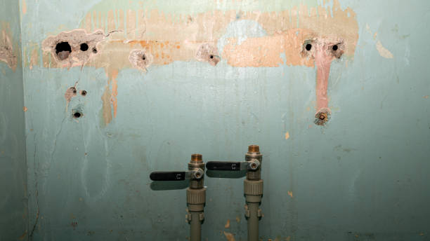 Best 24/7 water damage repair  in New Albany, MS