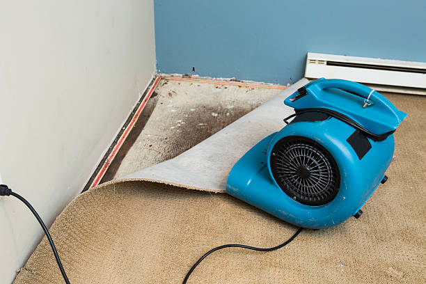 Best Fire Damage Restoration  in New Albany, MS